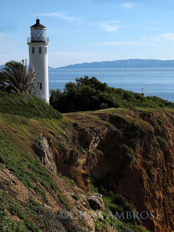 Point Vicente Lighthouse 3854