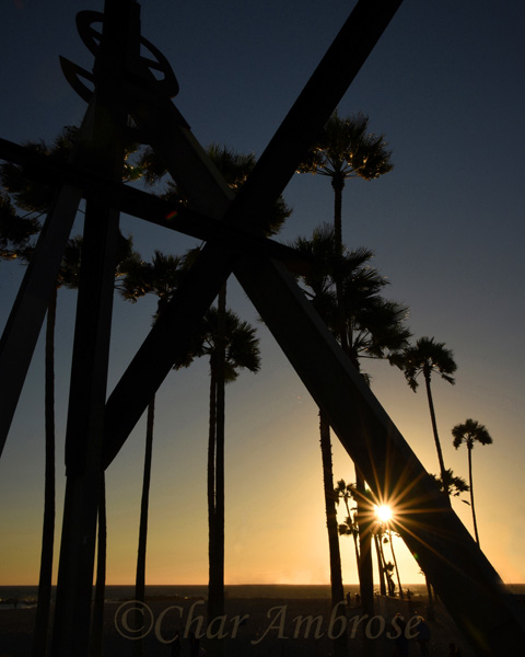 The Setting Sun at Venice Beach