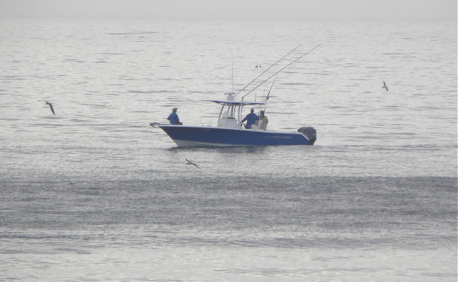 DSCN1191 2.JPG