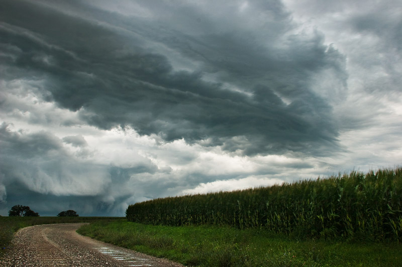 The storm
