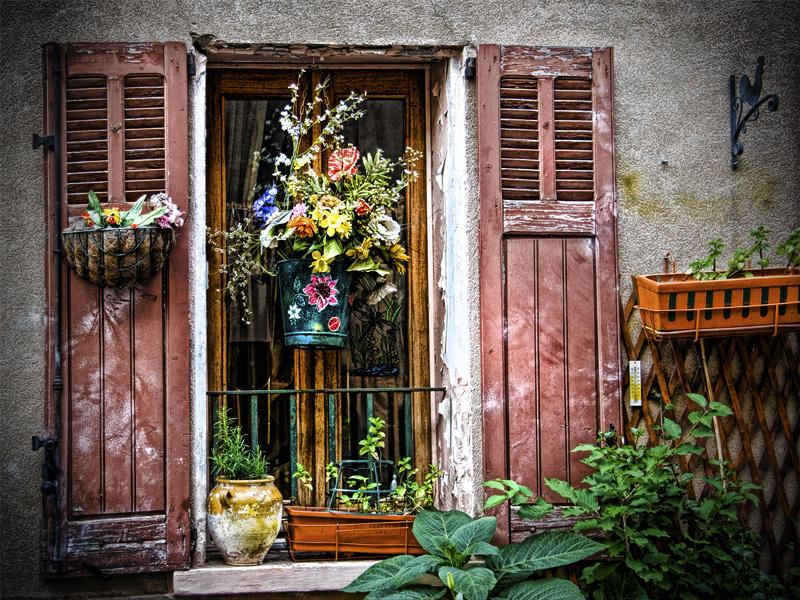 Window of Flowers