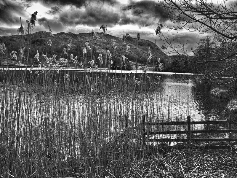 Storm over Rydal