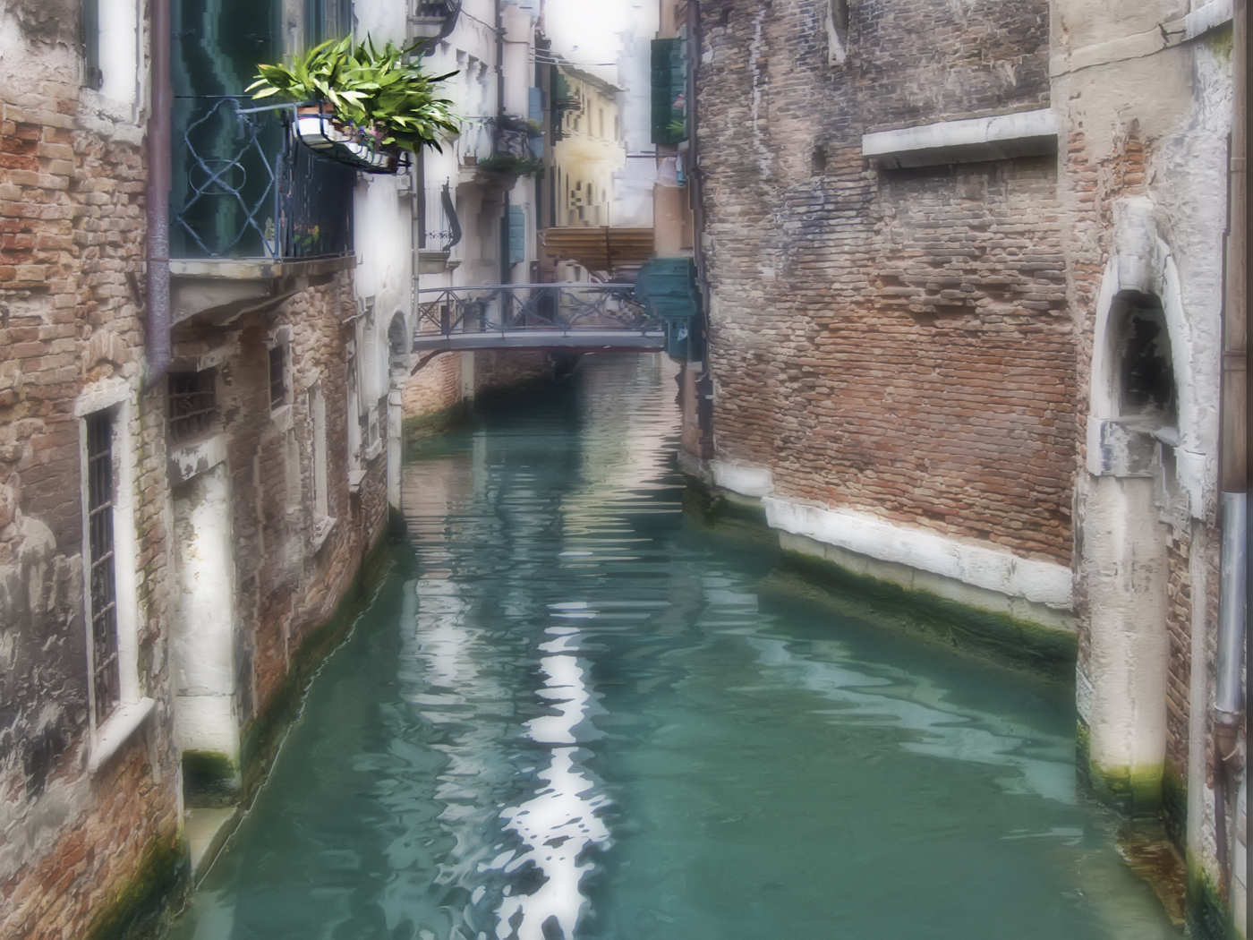 The Back Water