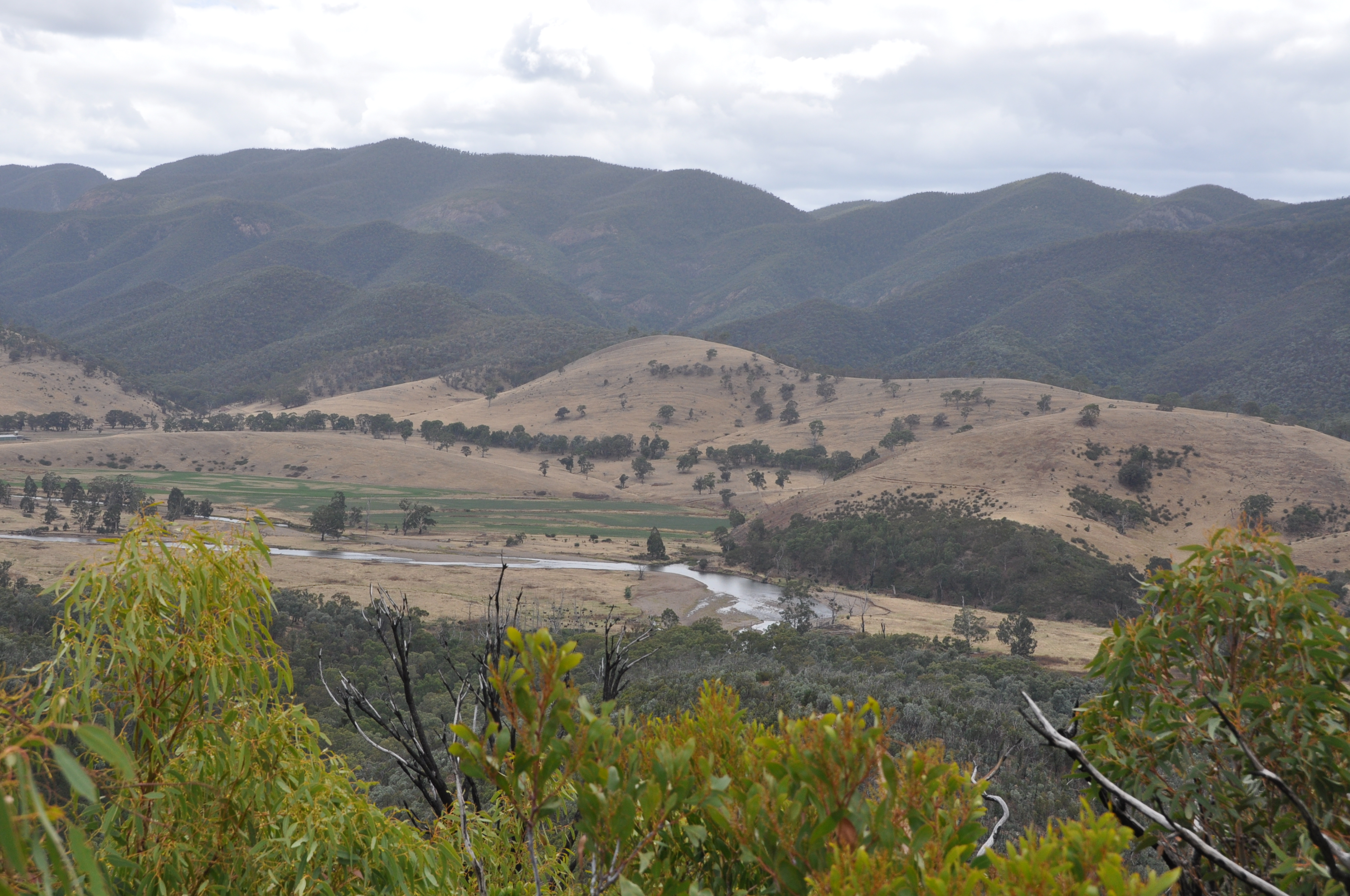 View to Macalister River from Cob Spur Track