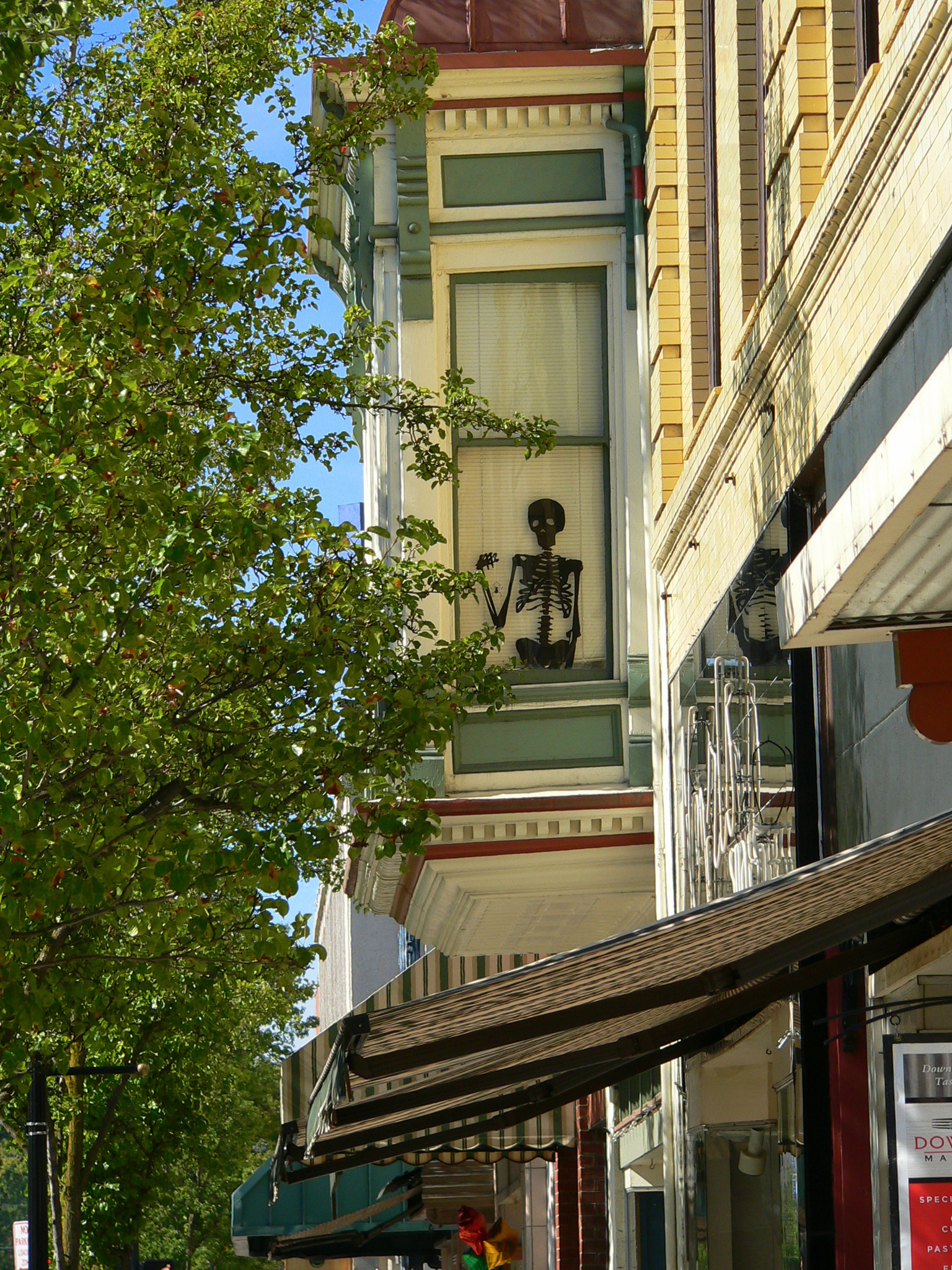 231 E Main street skelton in the window