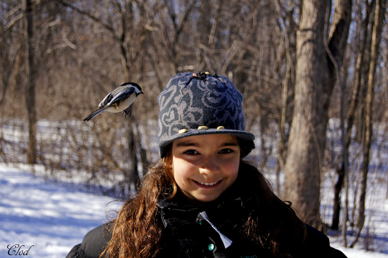 Laurianne et msange  tte noire - The chickadee is landing !