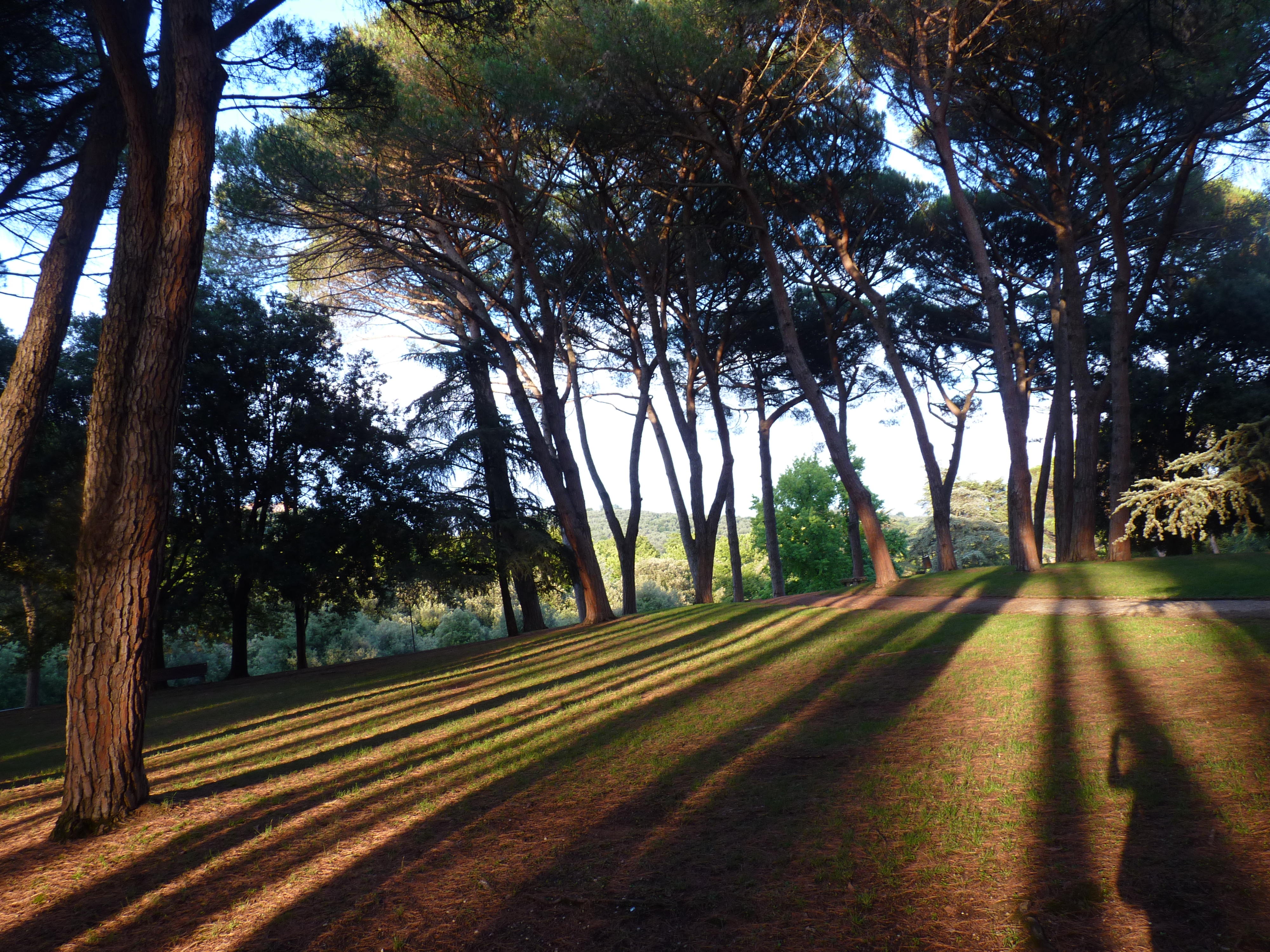 Monteсatini Terme