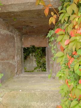 DSC00110