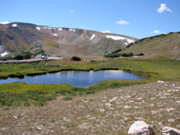 DSC01021