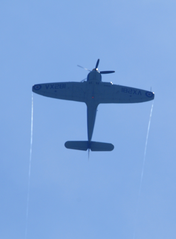 Sea Fury Top of the Loop