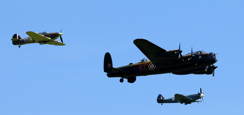 Five Merlins and a Griffon