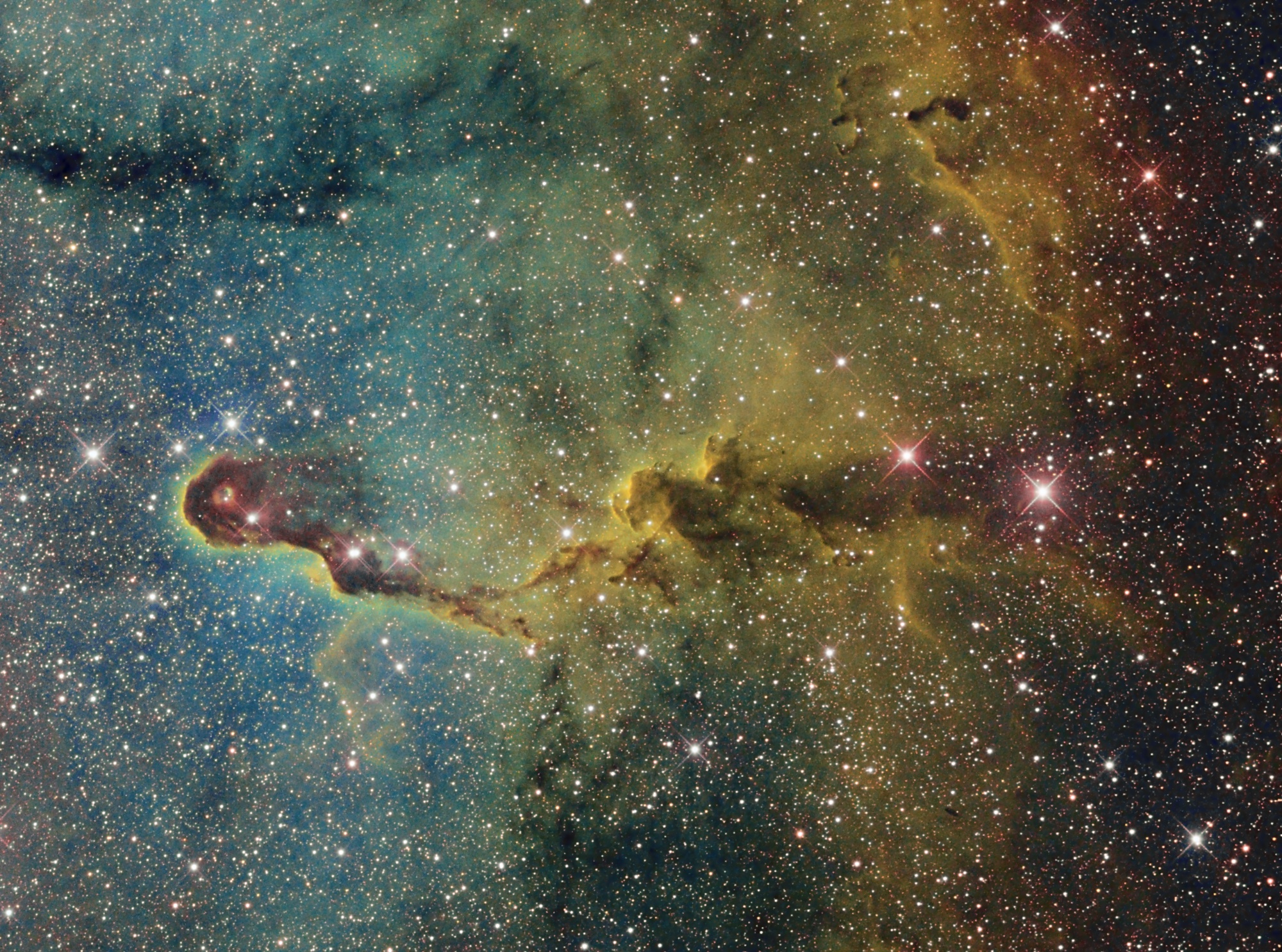 The Elephants Trunk Nebula in IC1936 in Cepheus 