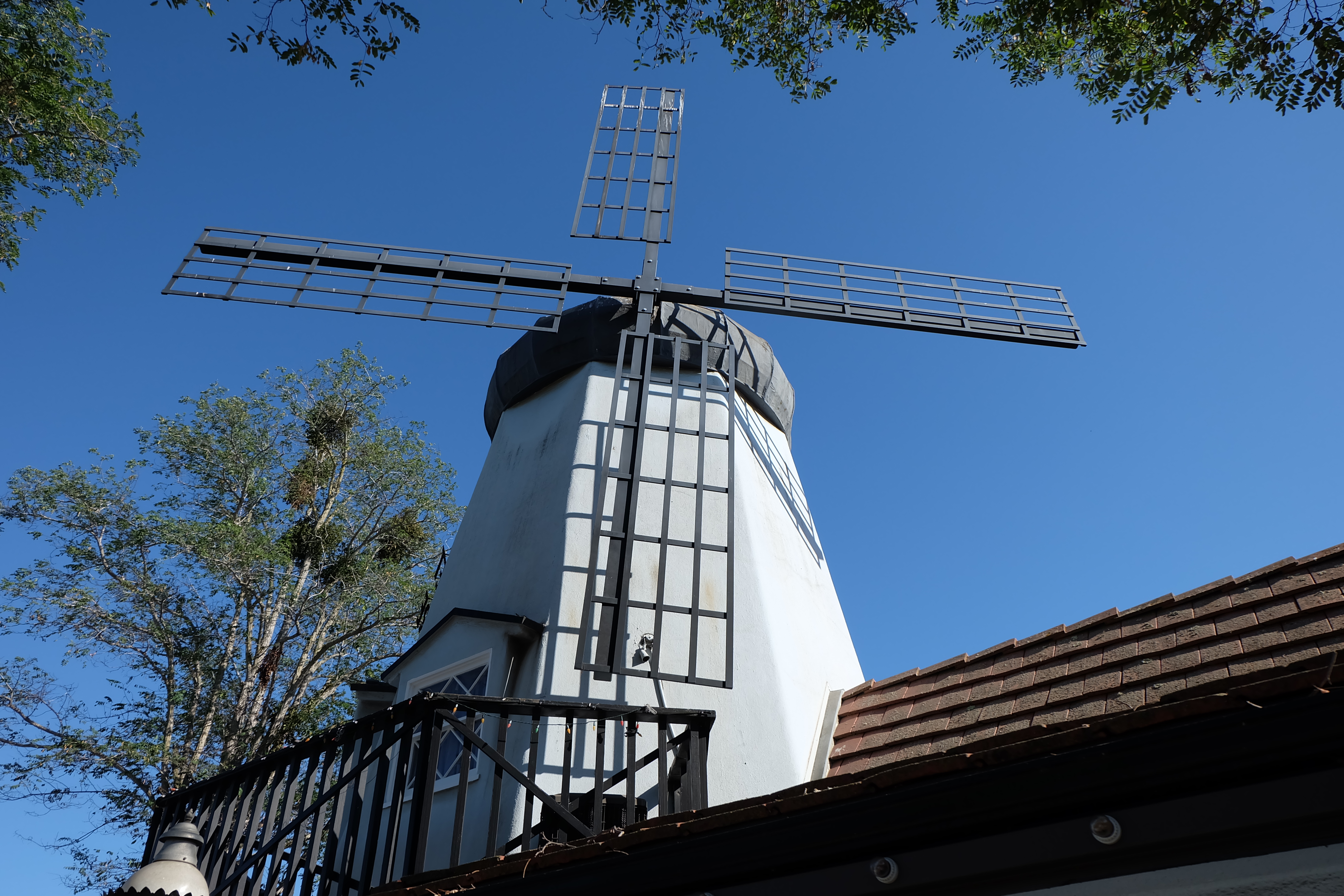 DSCF1099.JPG