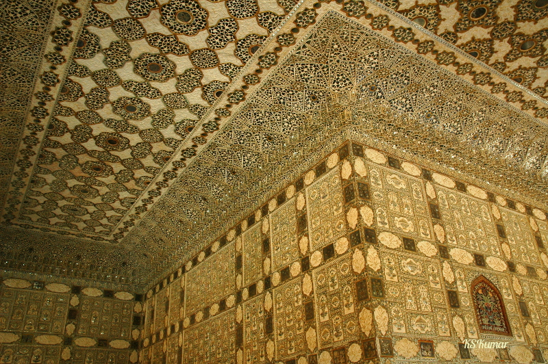 DSC_0805.JPG