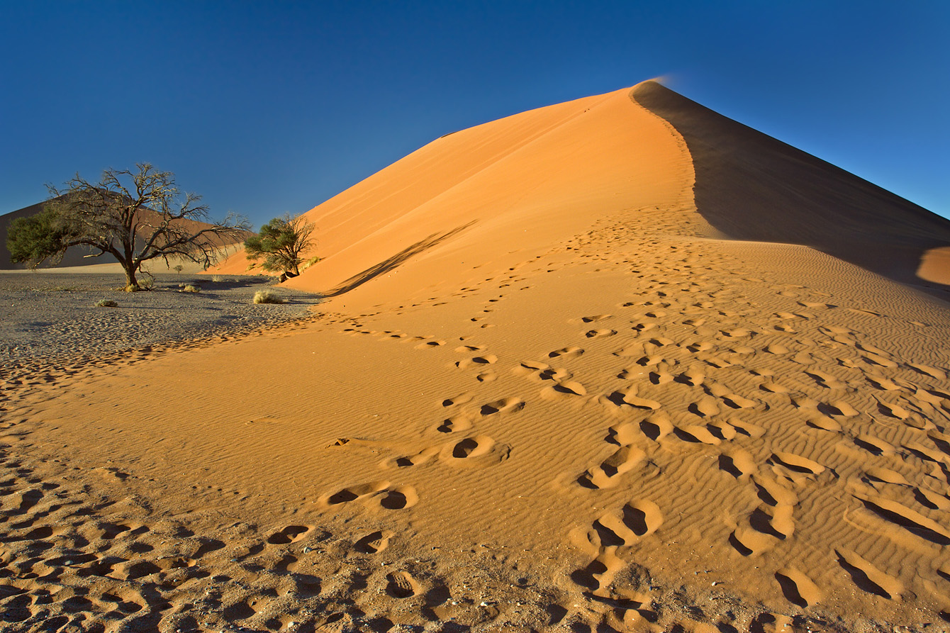 Sunrise and Footprints on Dune 45