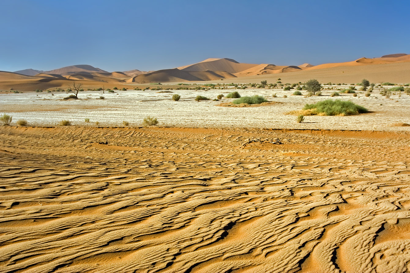 Desert Texture