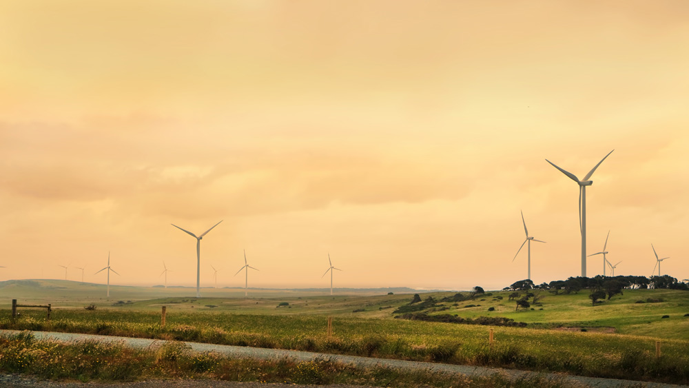 Musselroe Bay Wind Farm, Tasmania