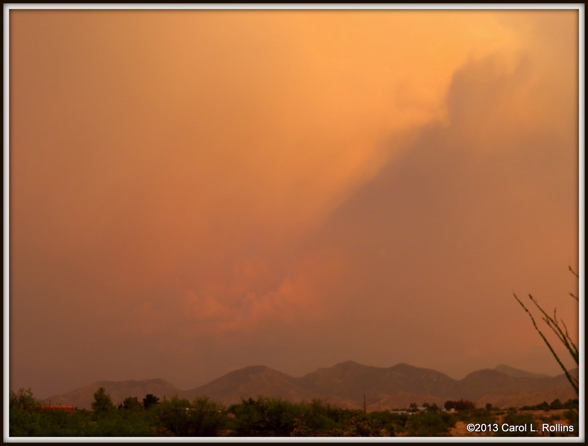 IMG_8833 2013 July 09