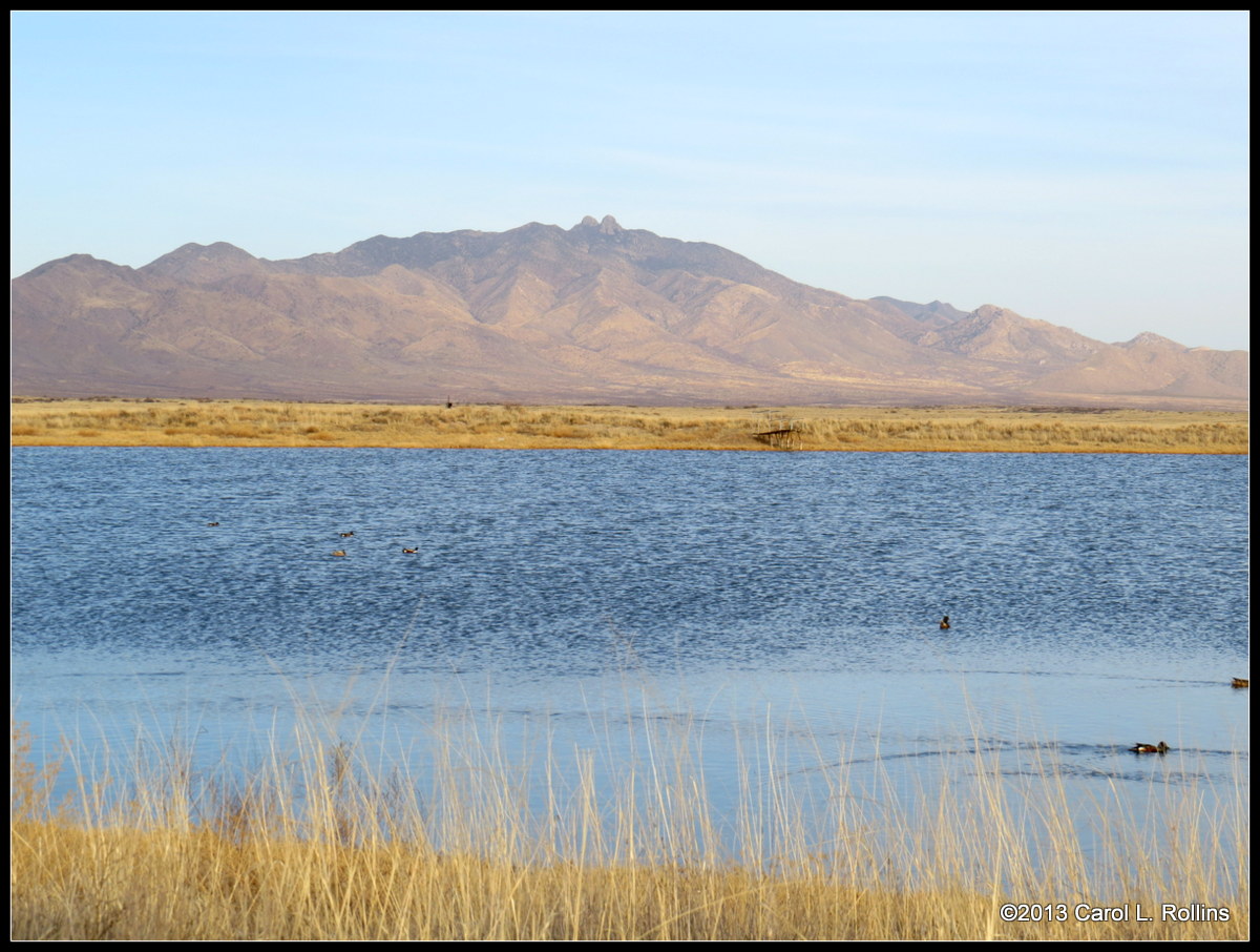 IMG_2478 2013 March.JPG