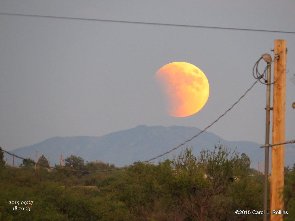 Full Moon/Blood Moon/Partial Eclipse    4439