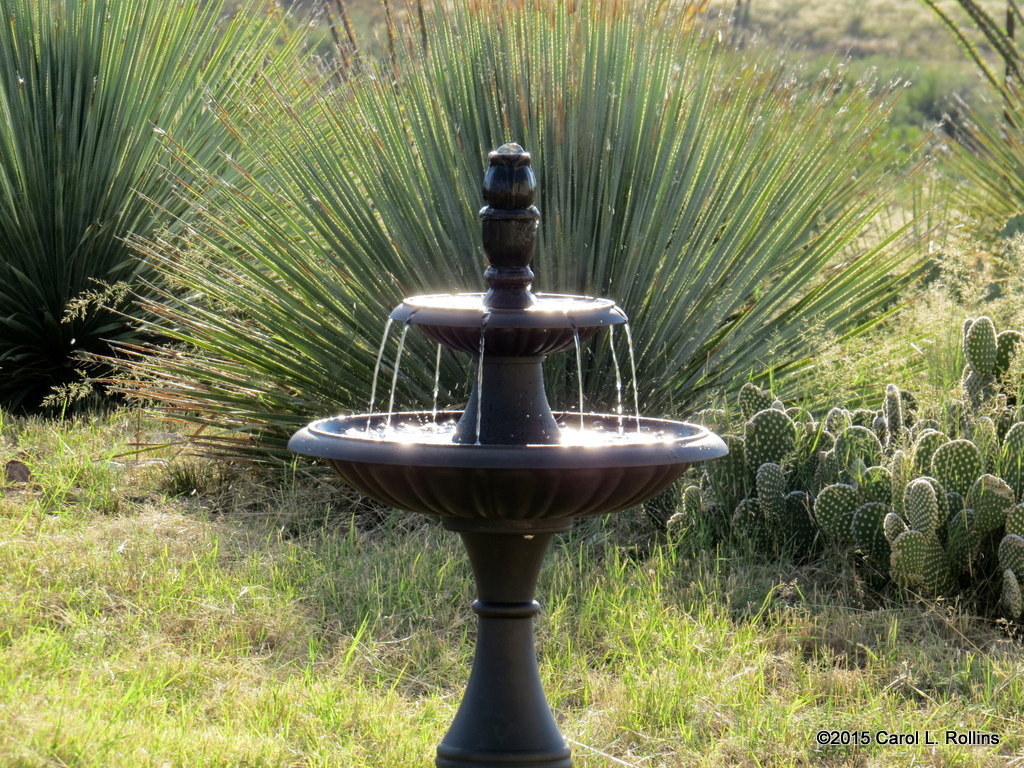 10 17 2015 My New Water Feature
