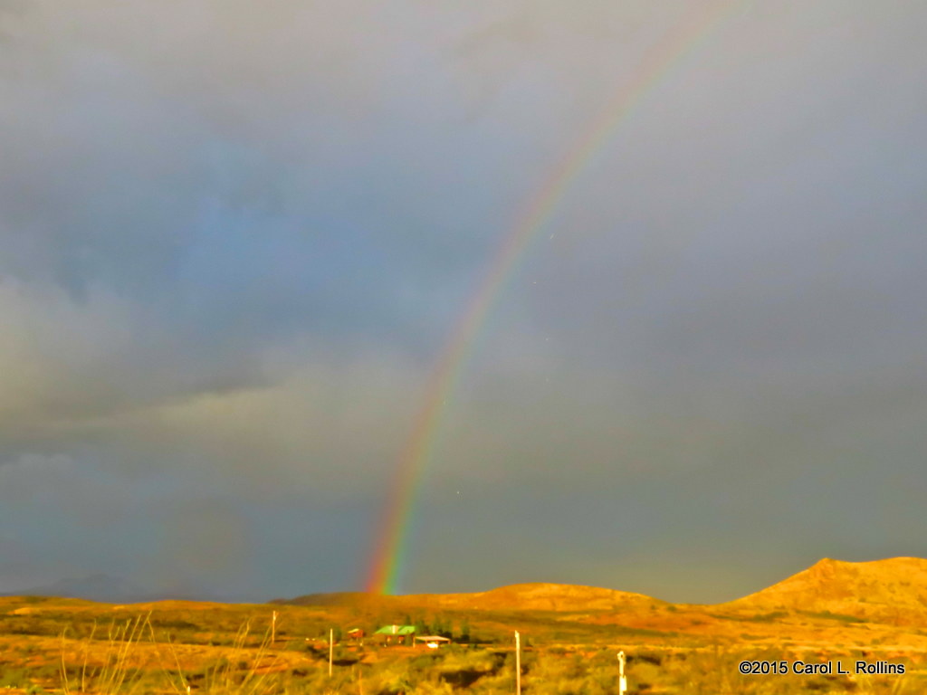 Rainbow     IMG_0981
