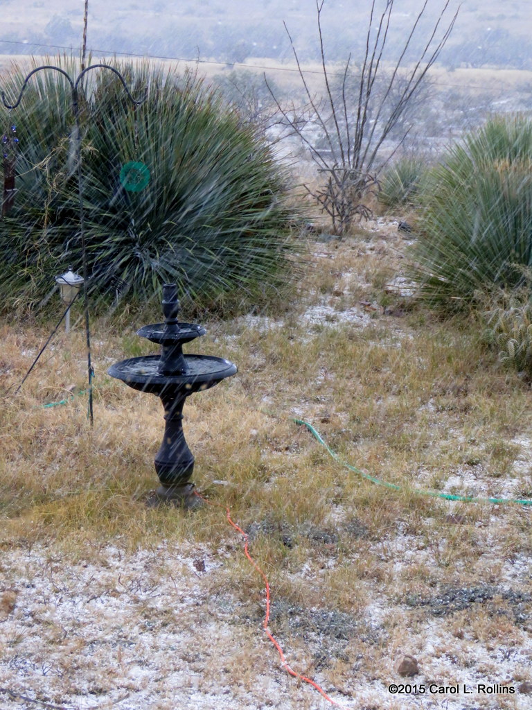 Snowing in the Desert     IMG_0513