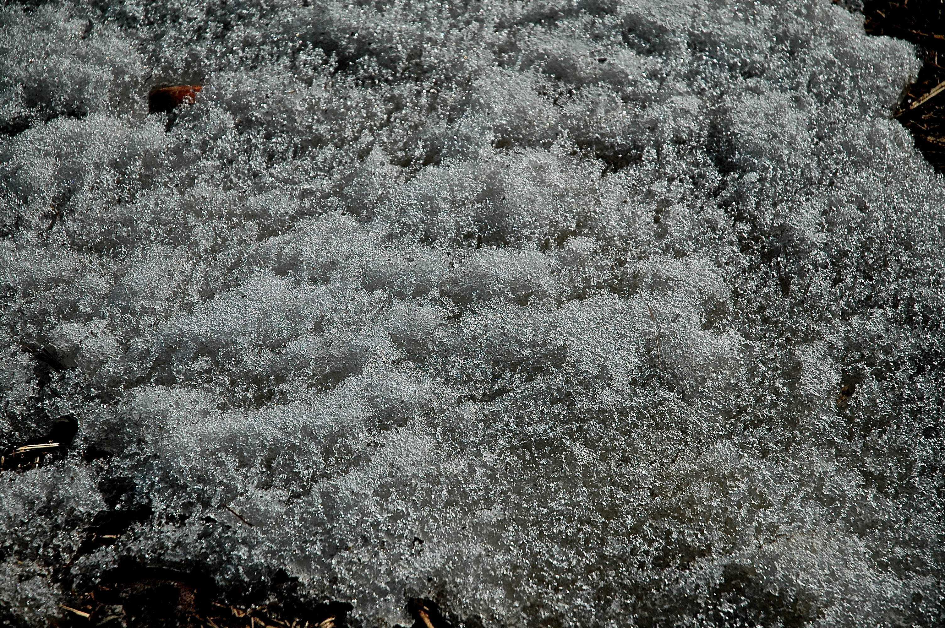 VNA ICE FUZZ CLOSEUP 0104.JPG