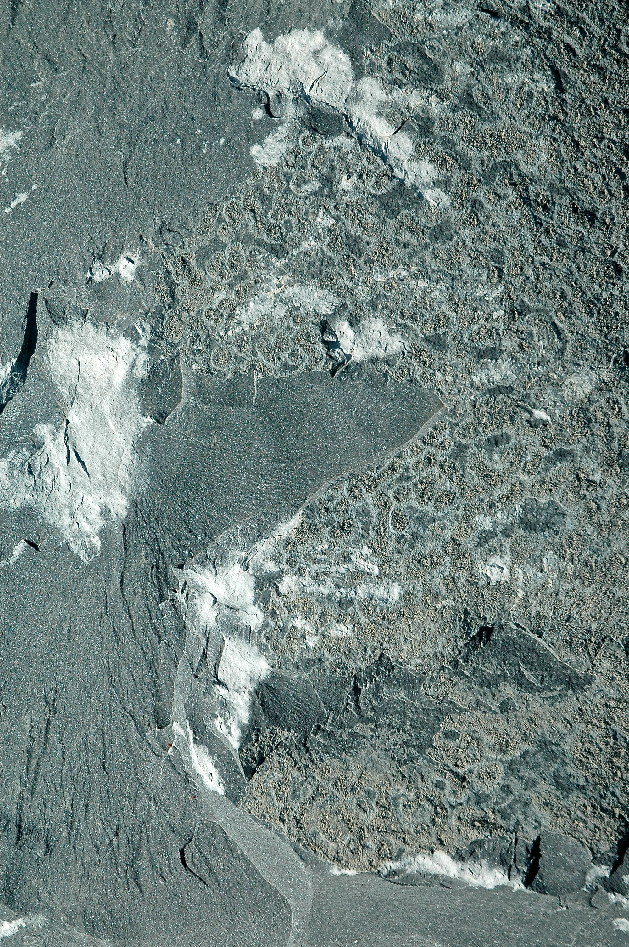 MIDDLEBURY RES 6-3-2015 219 m+a.jpg
