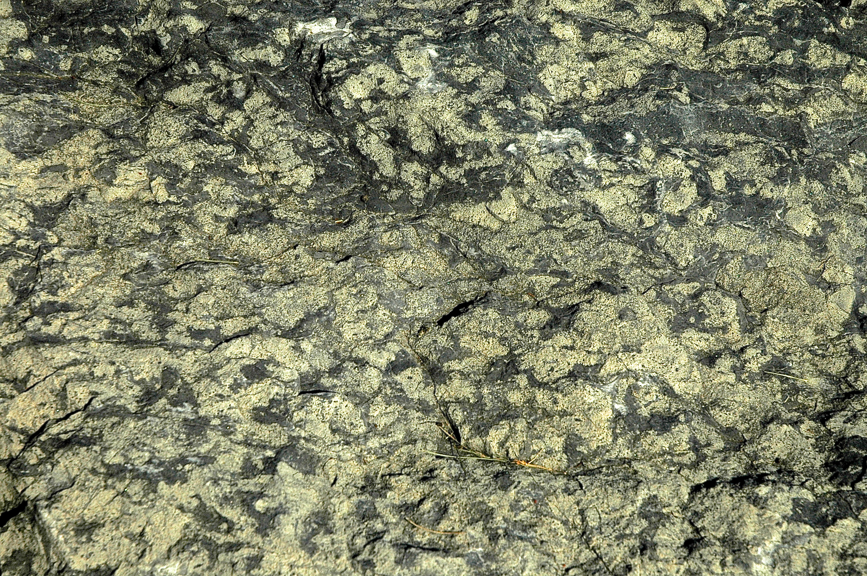 MIDD JY 2015 275 m+a.JPG