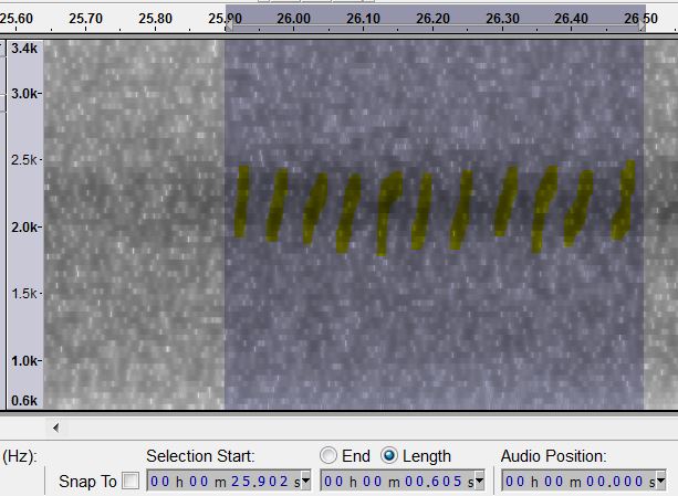 pulse_rate_versicolor.JPG