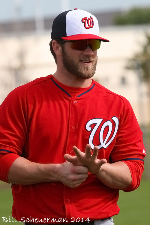 Bryce Harper