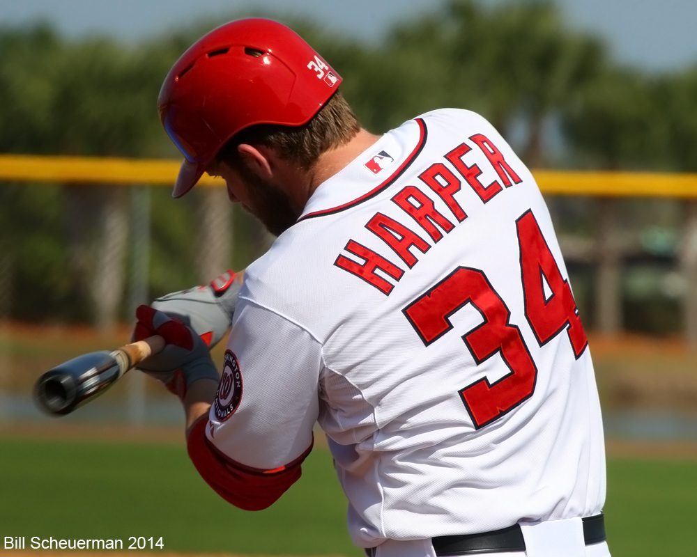 Bryce Harper