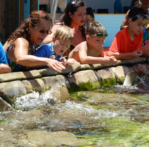 Sea World water park