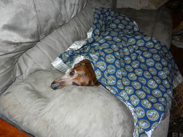Tater sleeping