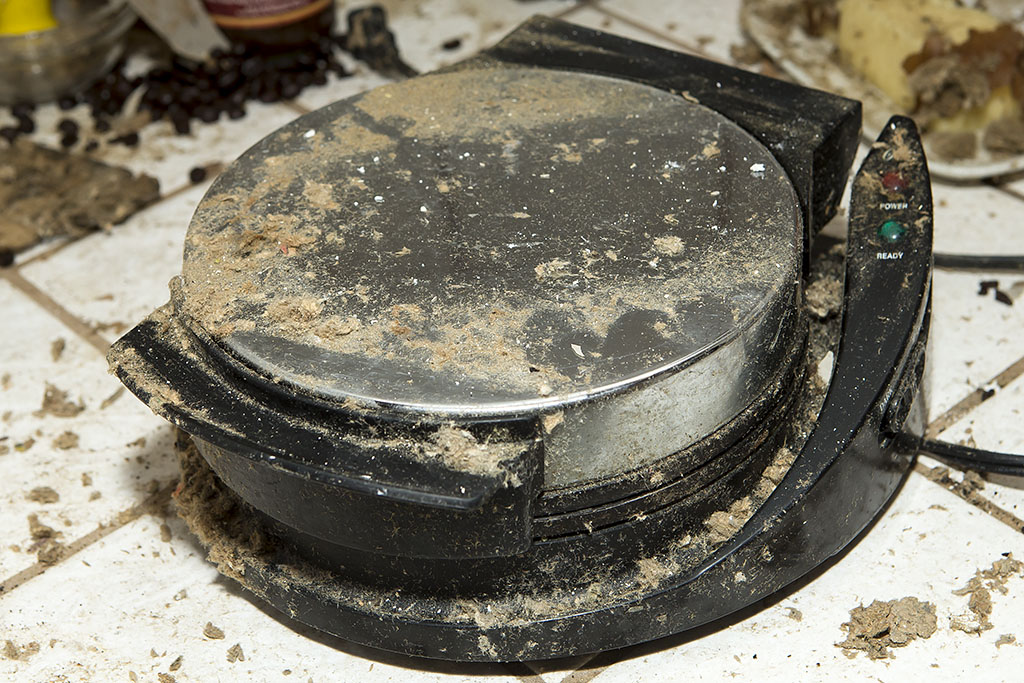 Oster Belgian Waffle Maker