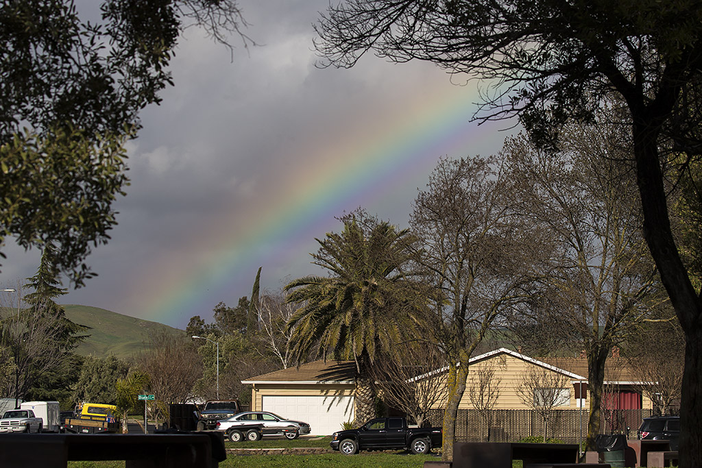 2/3/2017  Rainbow