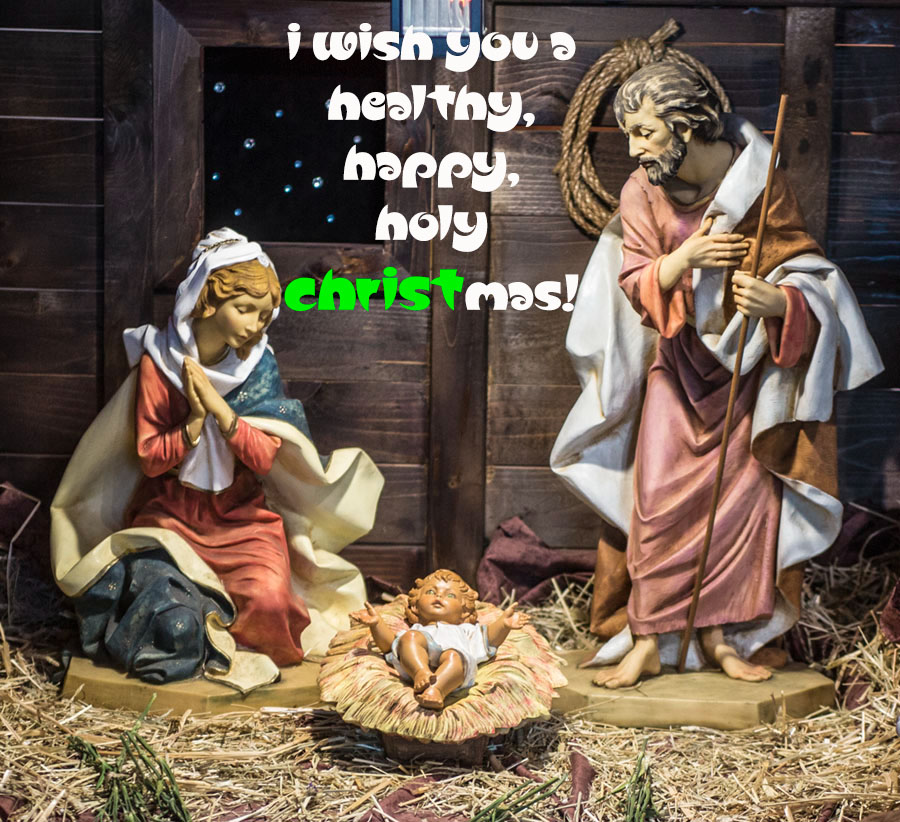 Facebook nativity scene Christmas 2014  _Z6A0045.jpg