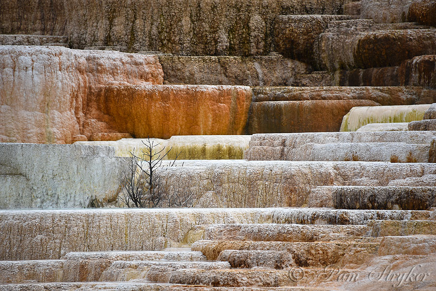 pStryker-yellowstone-mammoth-springs-closeup_0455.jpg