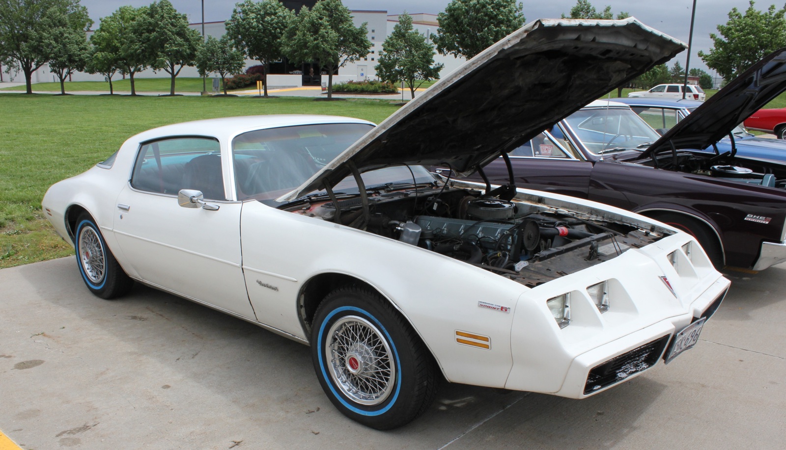 Kent McGregors 1979 Firebird OHC6