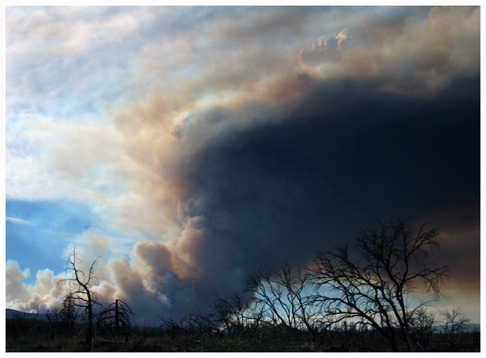 Fire in Lassen National Forest 