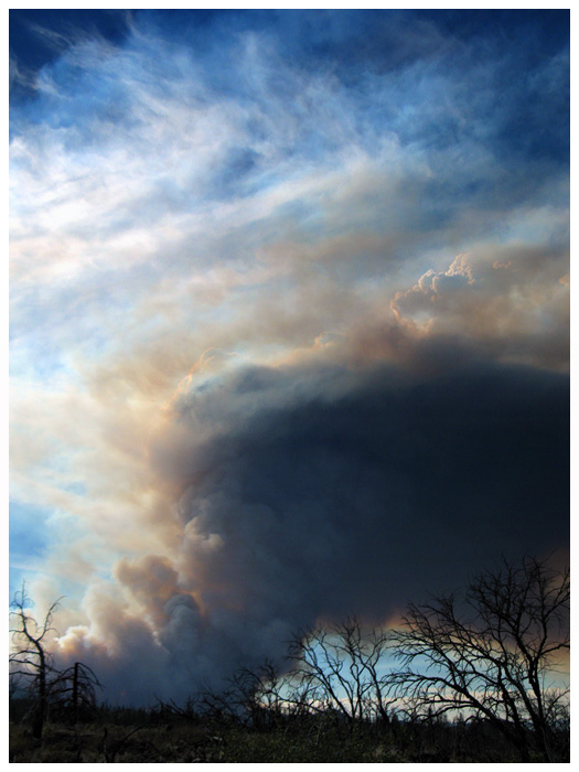 Fire in Lassen National Forest 