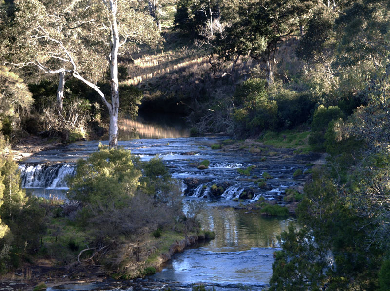 Cascades above Dangar Falls