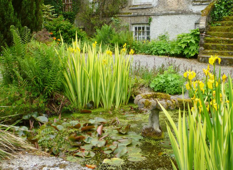 Garden Pond