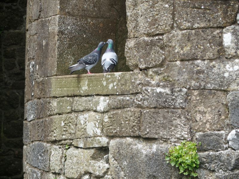Another loving couple