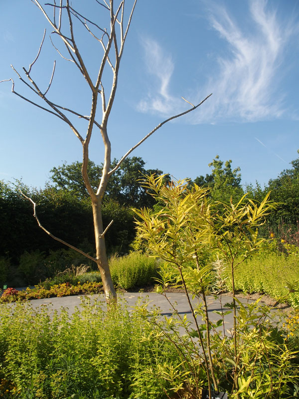 z7032805.jpg