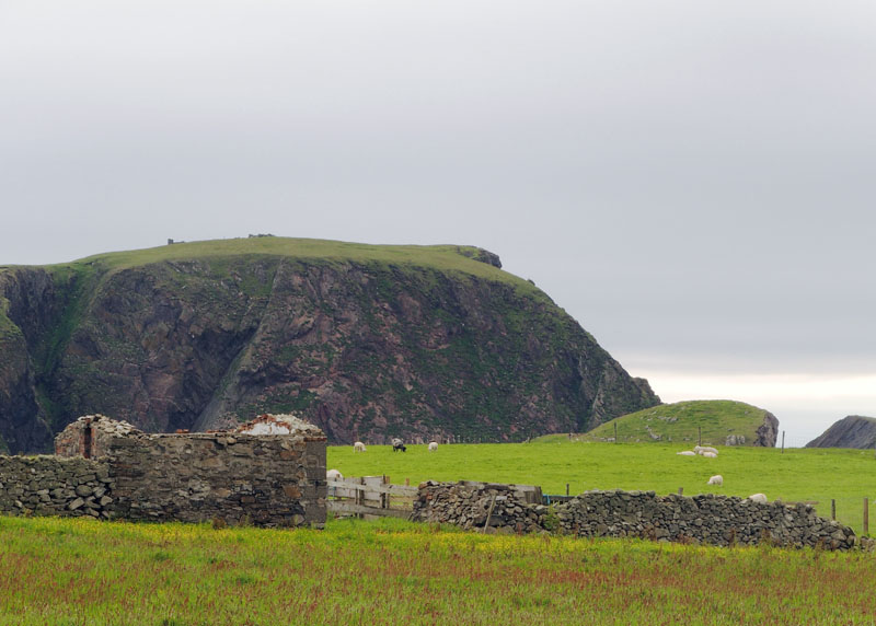2277: Fair Isle Landscape