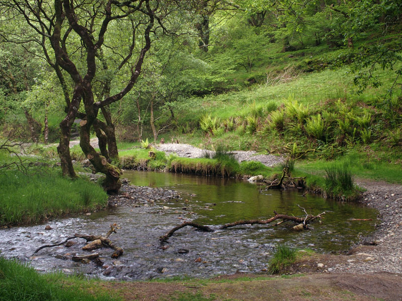 Stream flowing into Upper Lake