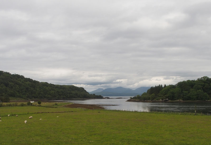 From a bus window