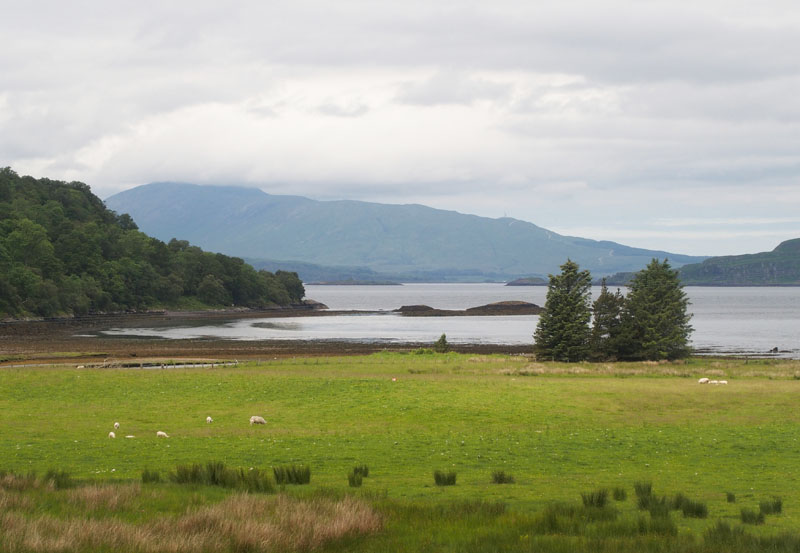 z6151271.jpg